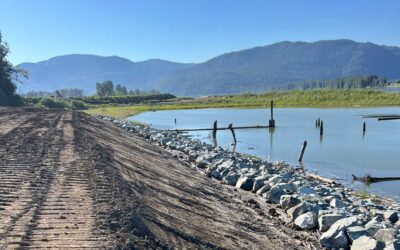 Millstream Riverbank Protection